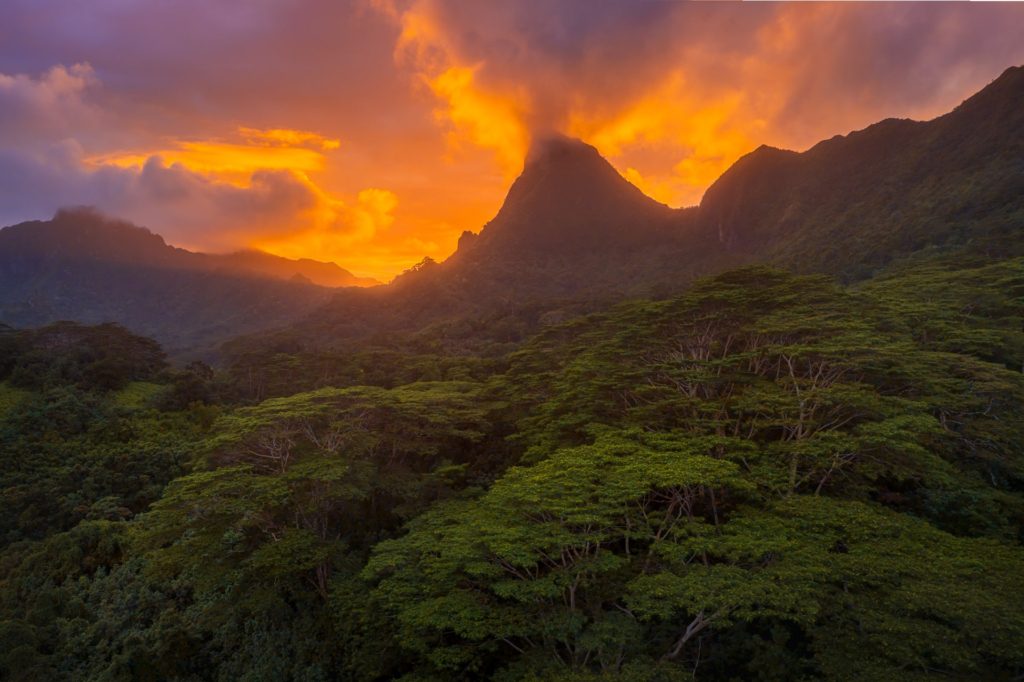 Sunrise over lush mountains and trees at Belvedere Lookout, Moorea, French Polynesia