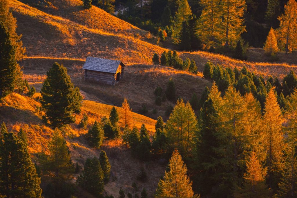Golden light illuminating a cabin at sunrise, Passo Giau, Dolomites, Italy