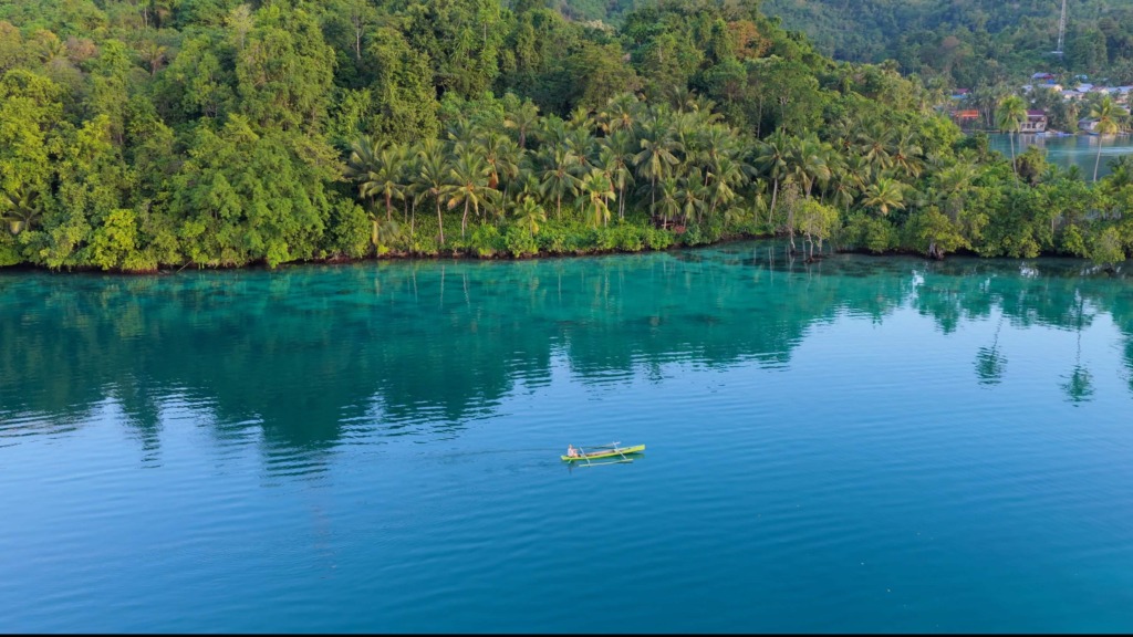 Aerial view of Kuwala Bay on Peleng Island