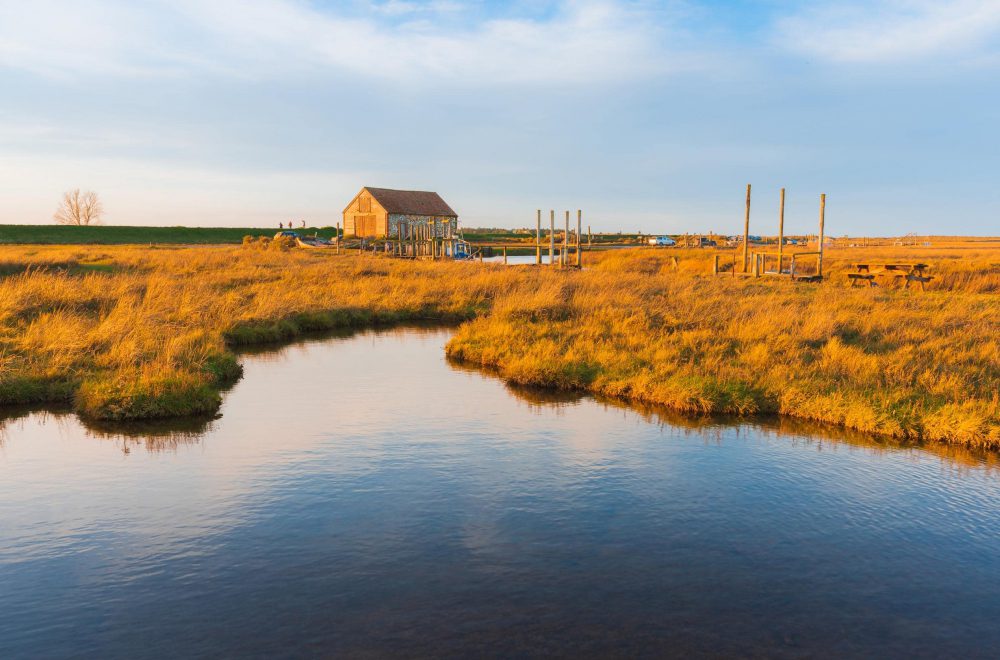 Old Thornham Harbour at Sunset with golden light on the marshes