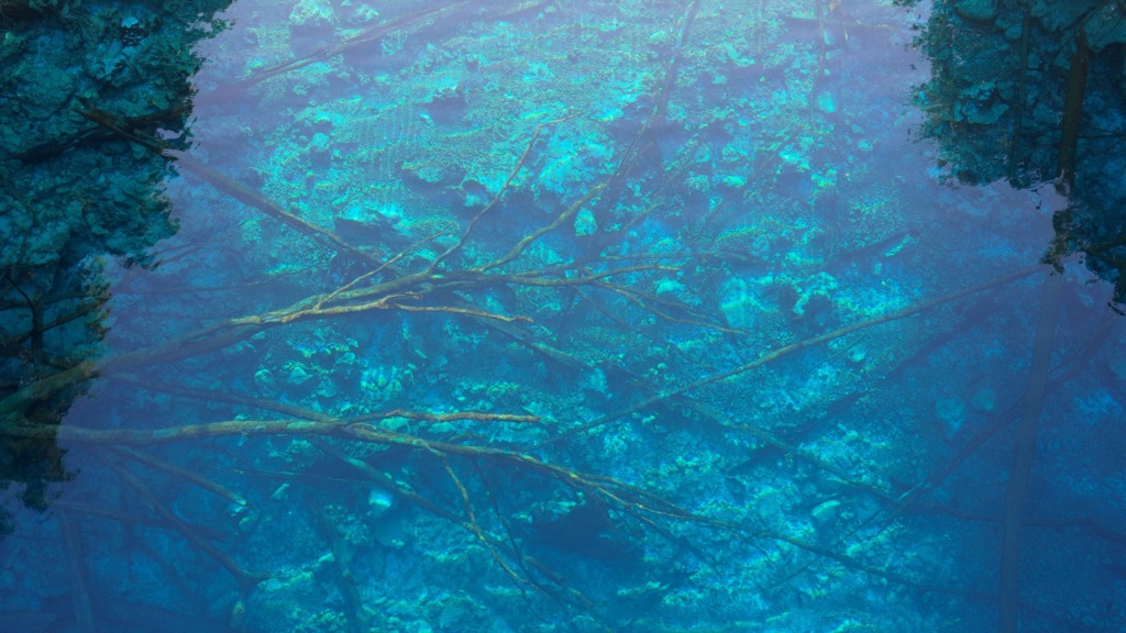 The exceptional water clarity at Paisu Pok Lake