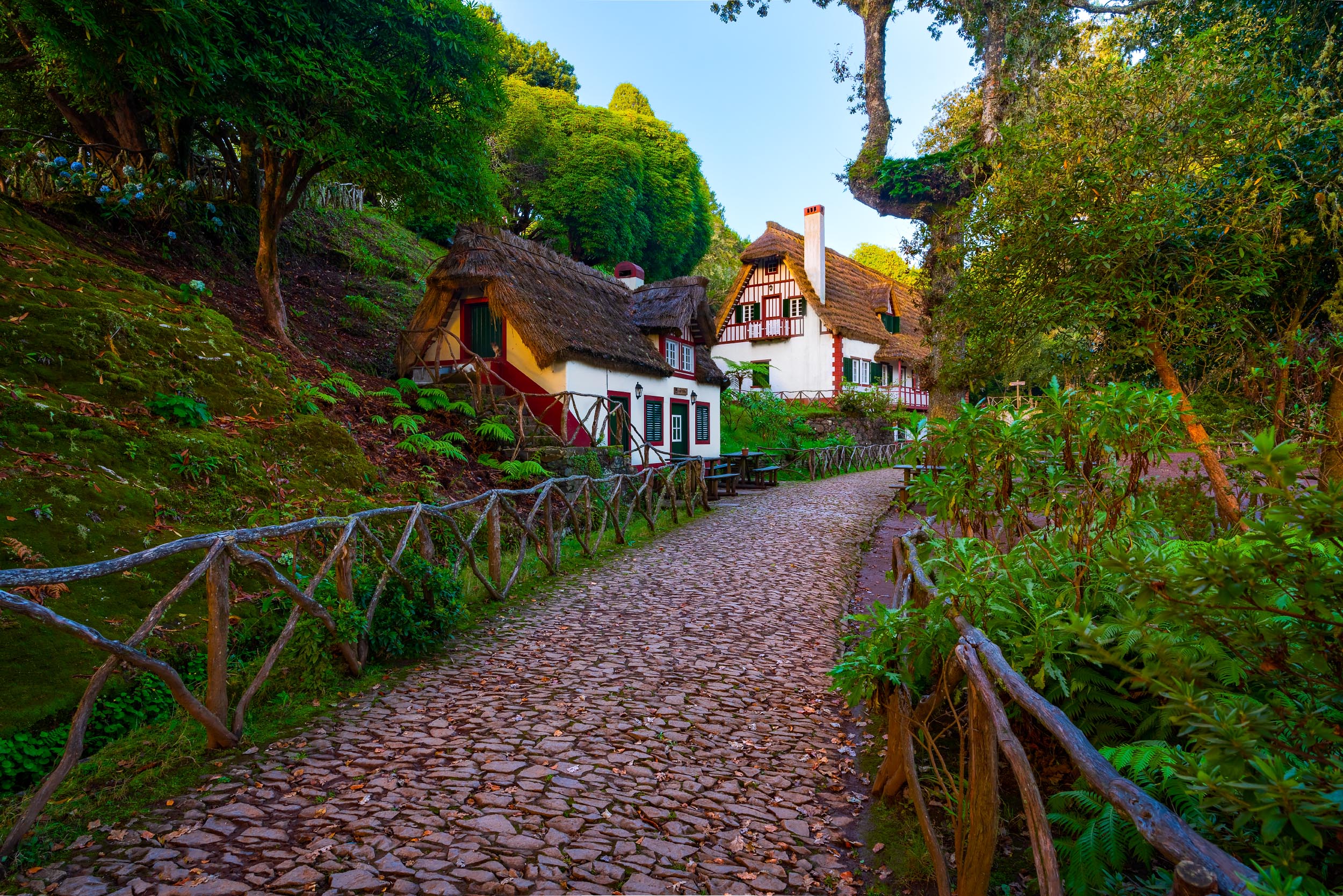 Queimadas cottage surrounded by lush greenery in Madeira, Portugal