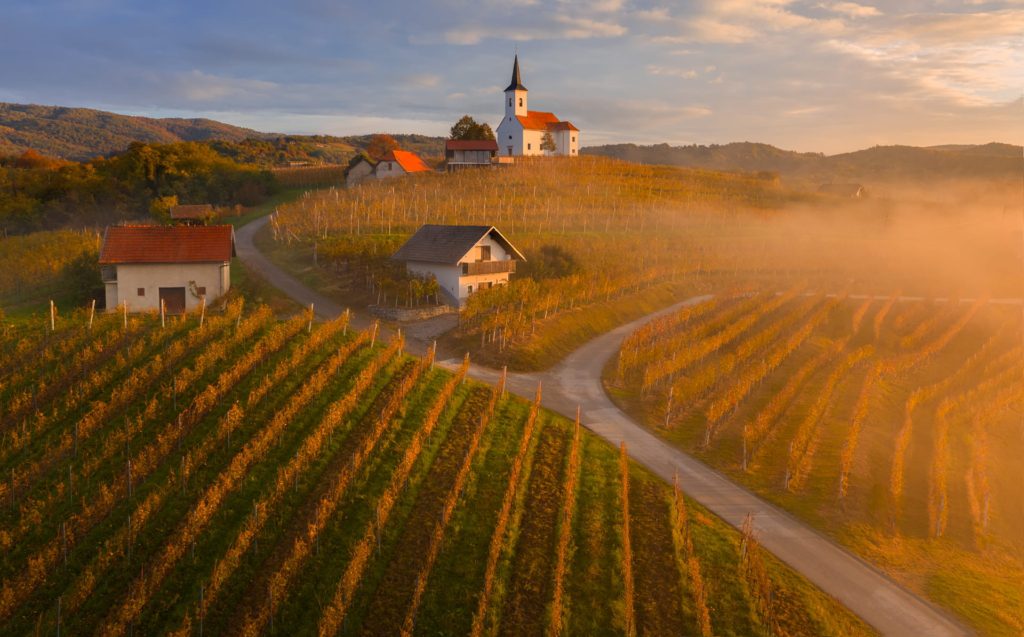 Vineyards and a church at sunset in Slovenia