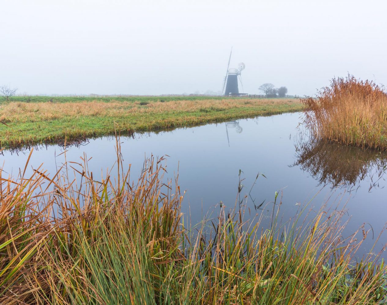 Windmill Halvergate Marshes, Norfolk, amid a foggy morning