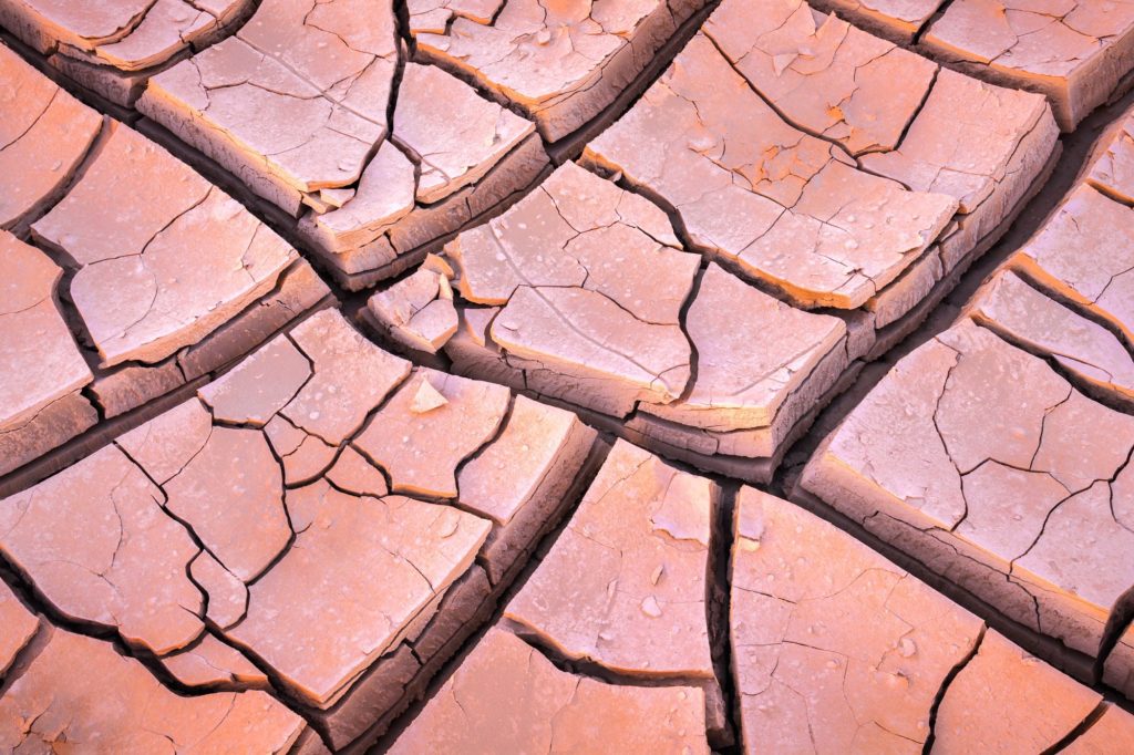 Cracked mud surface illuminated by sunset glow