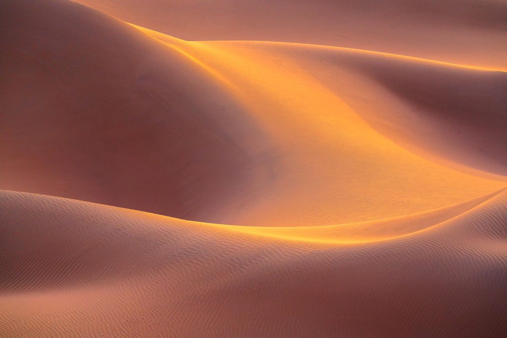 Golden sand dunes with soft curves and textures in Ahara, UAE