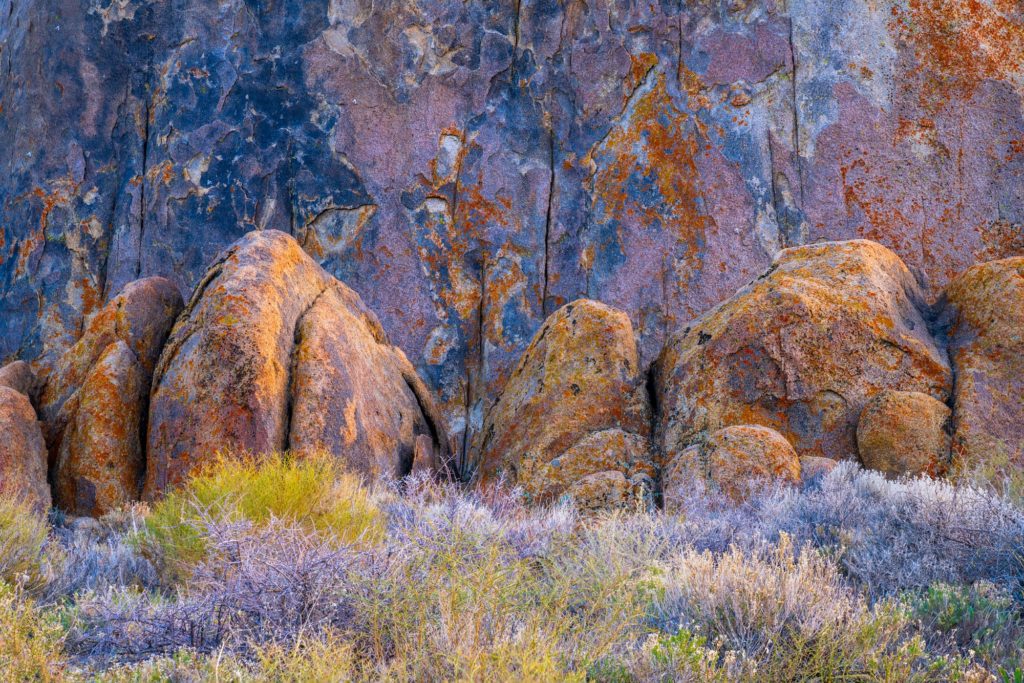 Textured rocks covered in orange lichen, Alabama Hills, California, USA