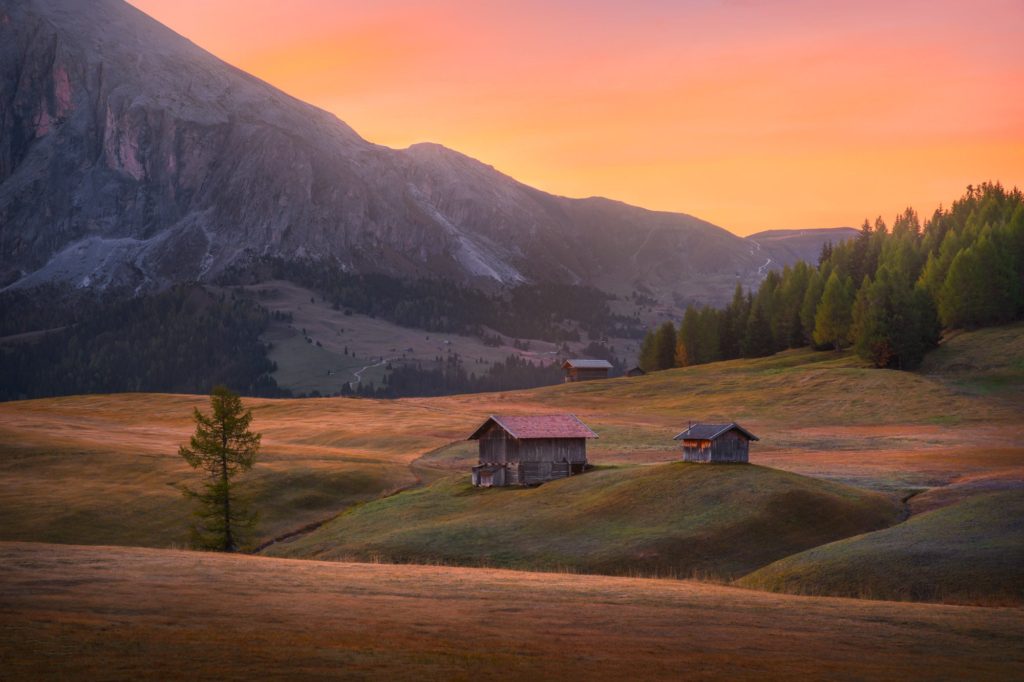 Alp di Siusi at sunrise with wooden huts, Dolomites, Italy