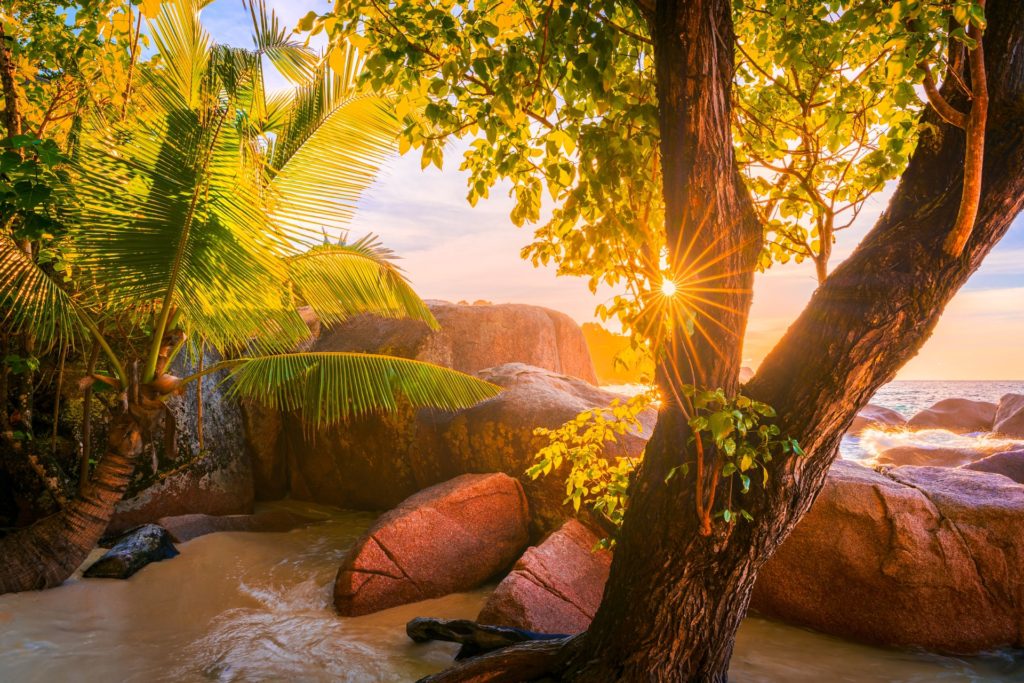 Sunset over Anse Lazio beach with palm trees and rocky shoreline, Italy