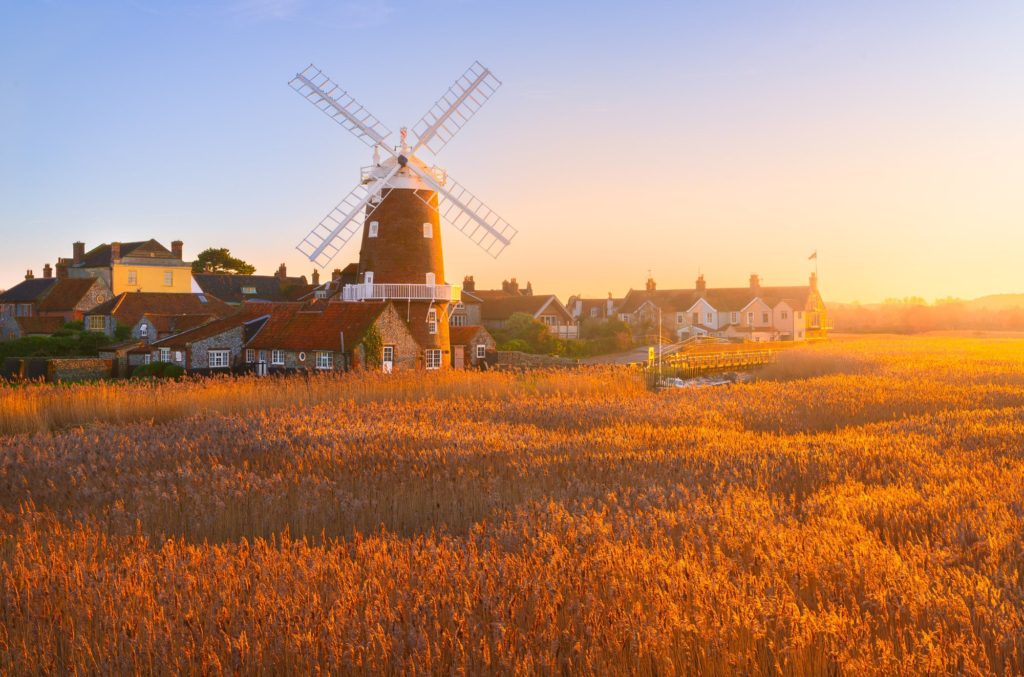 Cley windmill at sunset surrounded by golden reeds, Norfolk, England