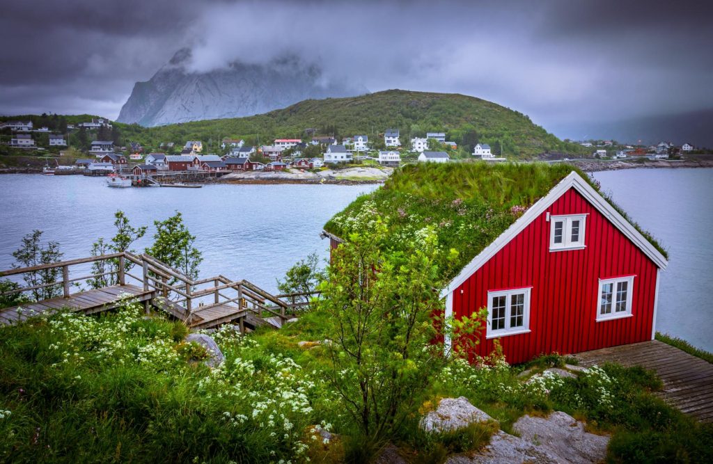 Red wooden house with grass roof in Reine, Lofoten, Norway