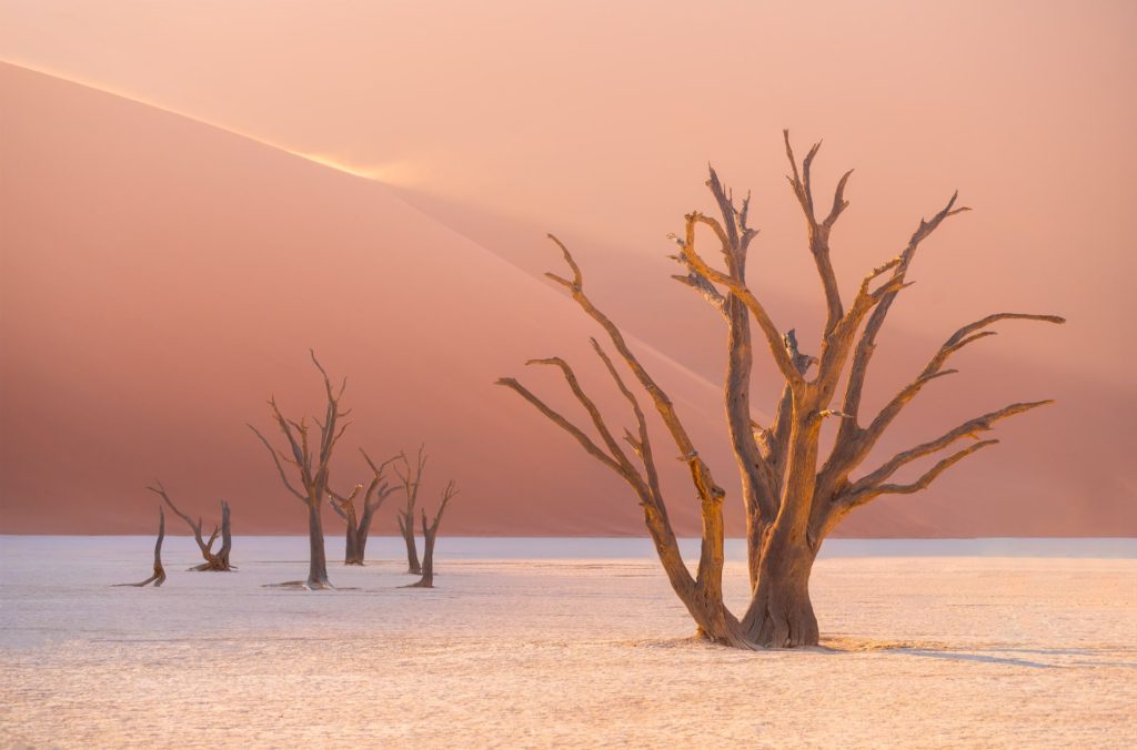 Sunrise illuminating dead trees in Deadvlei, Namibia
