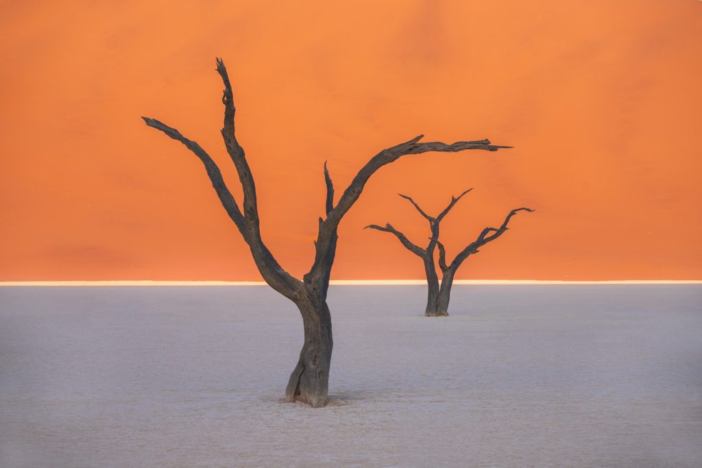 Sunrise light illuminating dead trees in Deadvlei, Namibia