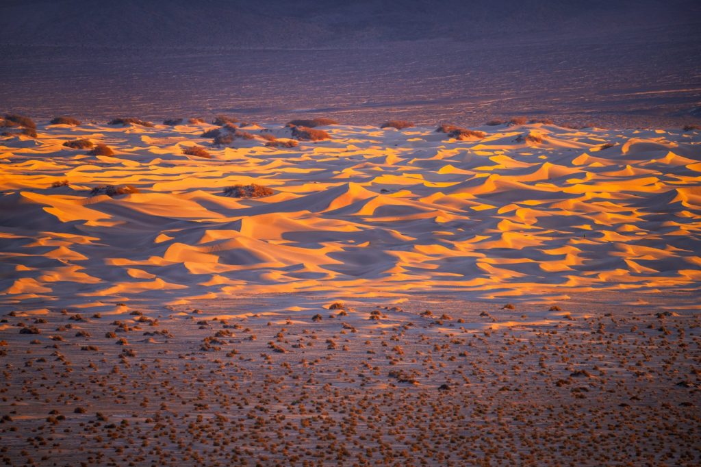 Mesquite dune layers illuminated by sunrise in Death Valley, USA