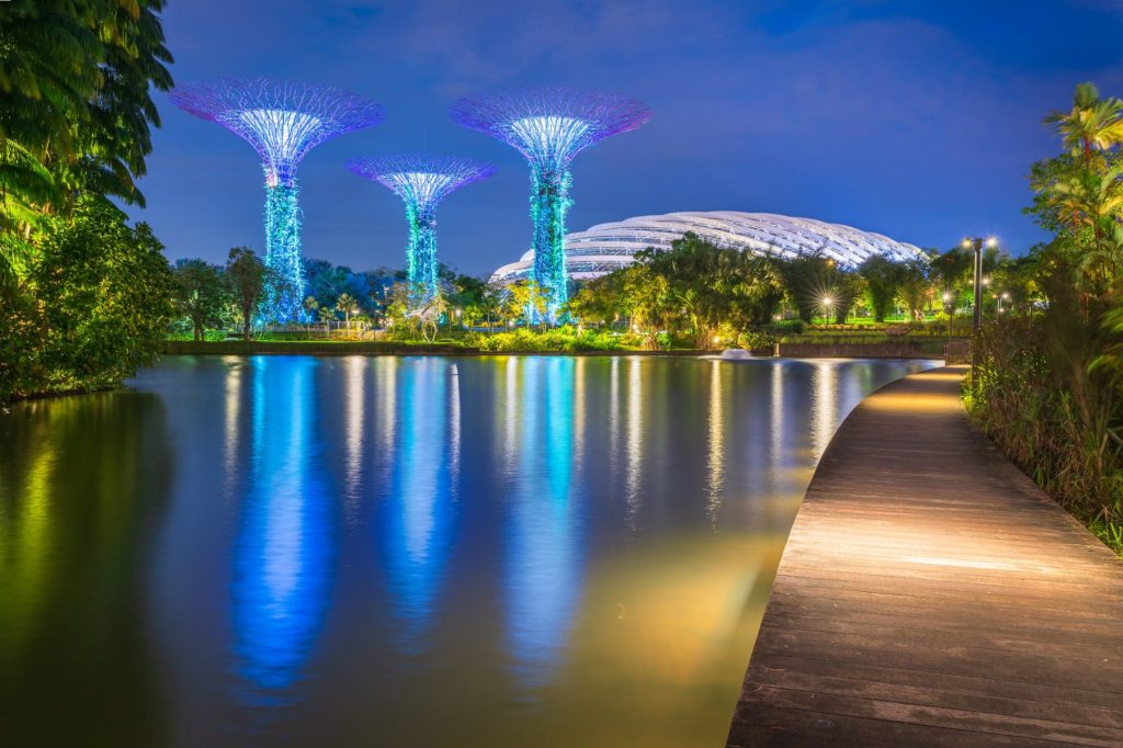 Dragonfly Lake with illuminated Supertree structures in Singapore