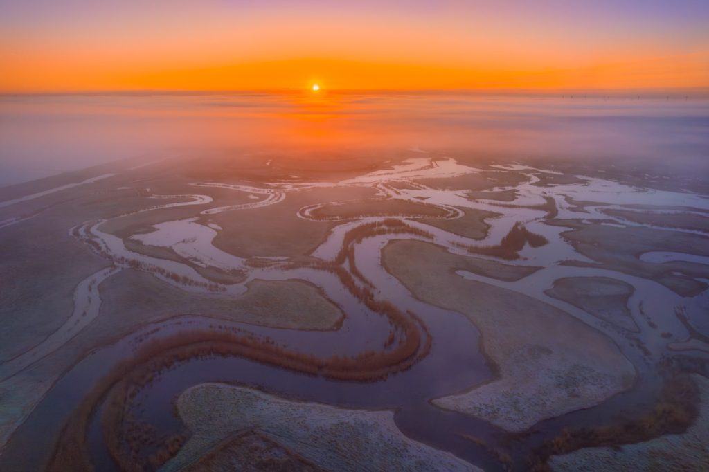 Marshes shrouded in mist at sunrise, Essex, England