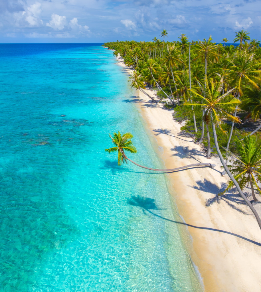 Turquoise waters and palm trees lining the beach in Fakarava, French Polynesia