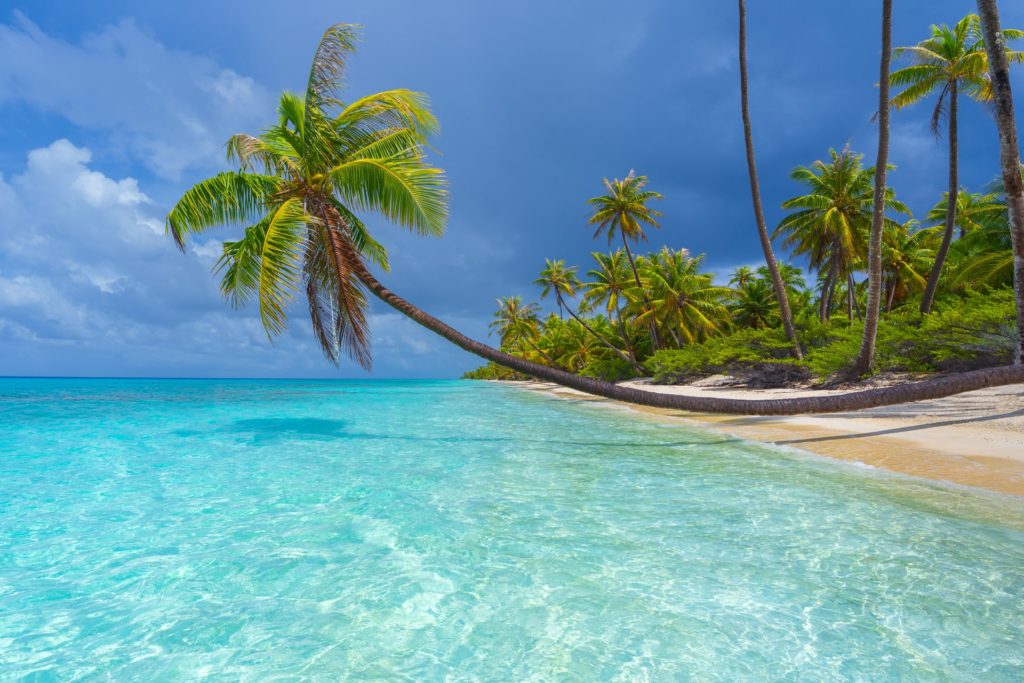 Turquoise waters and palm trees on Fakarava beach, French Polynesia