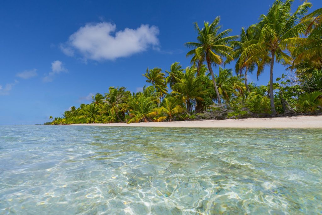 Green lagoon with palm trees, Fakarava, French Polynesia