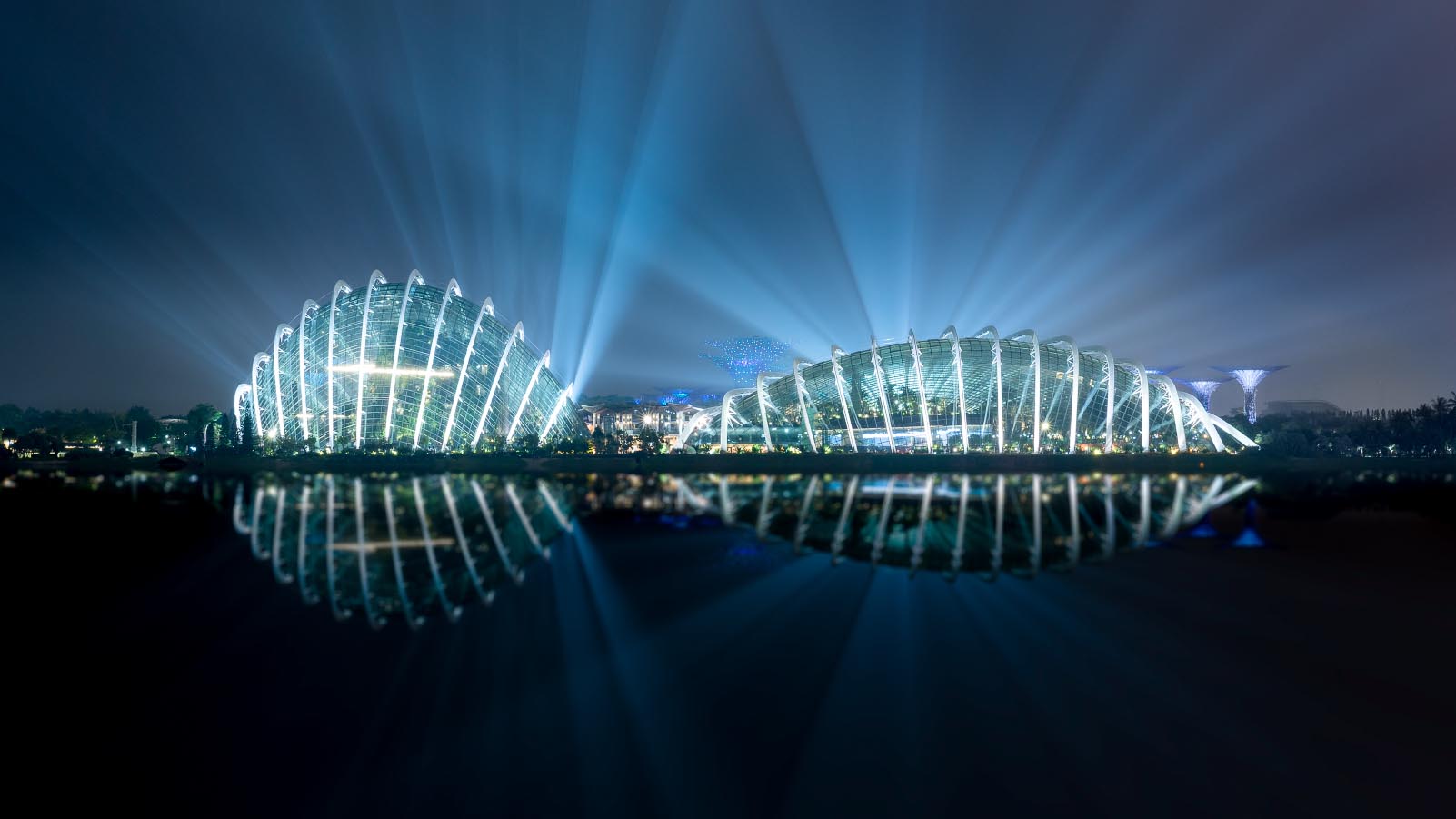 Garden By The Bay building night view