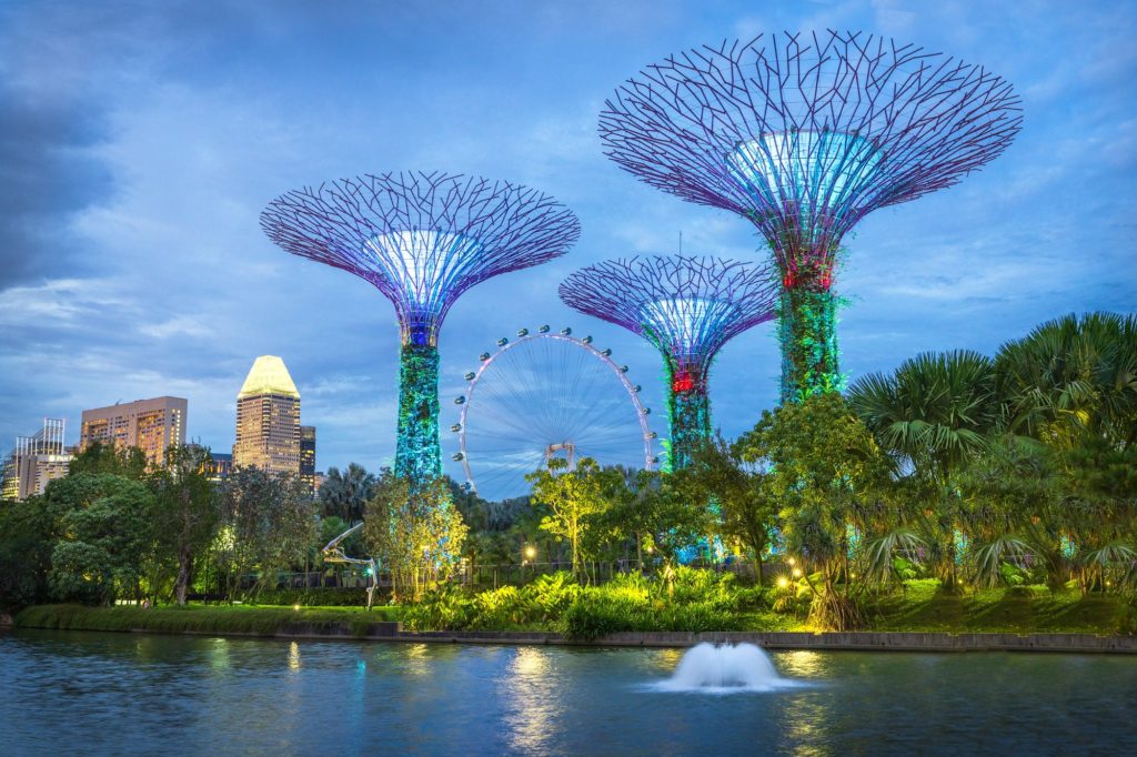 Supertree Grove illuminated at dusk in Gardens by the Bay, Singapore