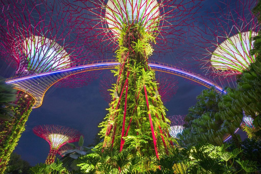 Gardens by the bay supertrees light show