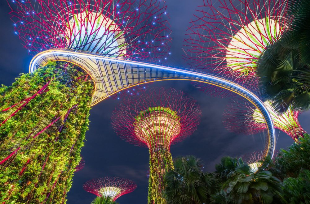 Gardens by the bay supertrees light show