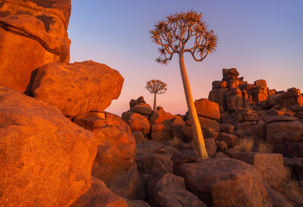 Giants Playground rock formations and trees at sunset, Namibia