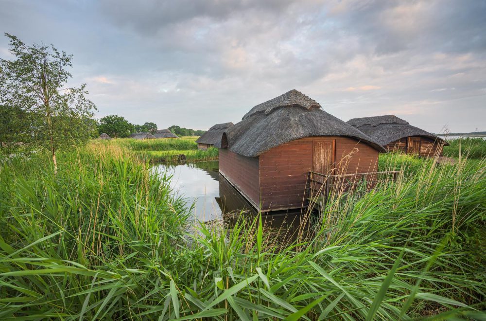 Summer evening looking out at the thatched boat houses on the shore of Hickling Broad in Norfolk