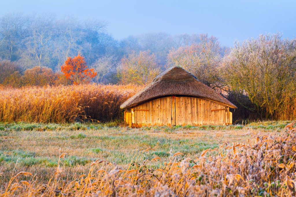 Frost-covered boathouse surrounded by autumnal reeds at Hickling Broad, England