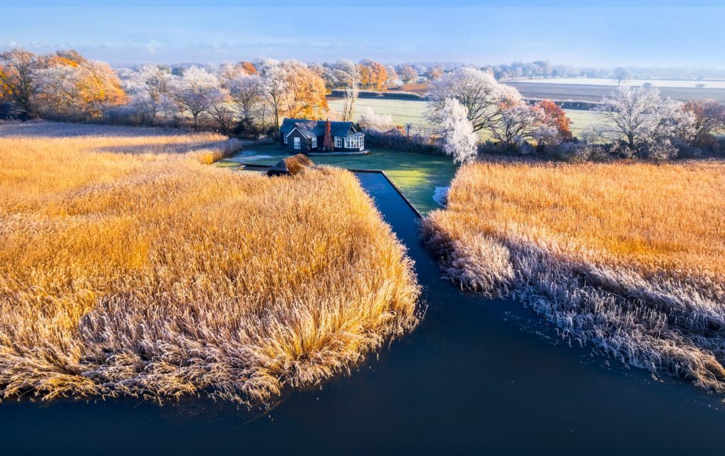 Hoar frost covers reeds and trees near a house in Norfolk, England