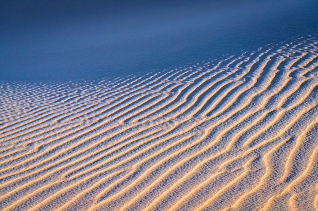 Mesquite patterns on sand dunes at sunset in the desert