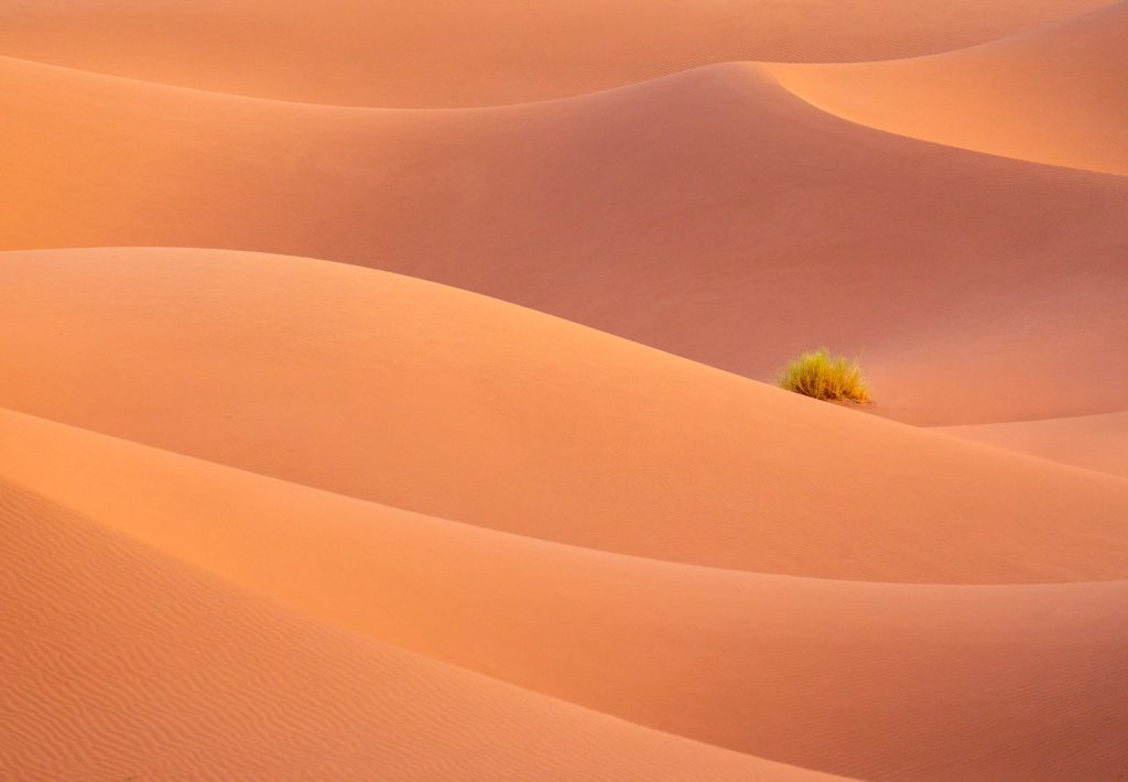 Sandy dunes with gentle curves in the Sahara Desert, Morocco