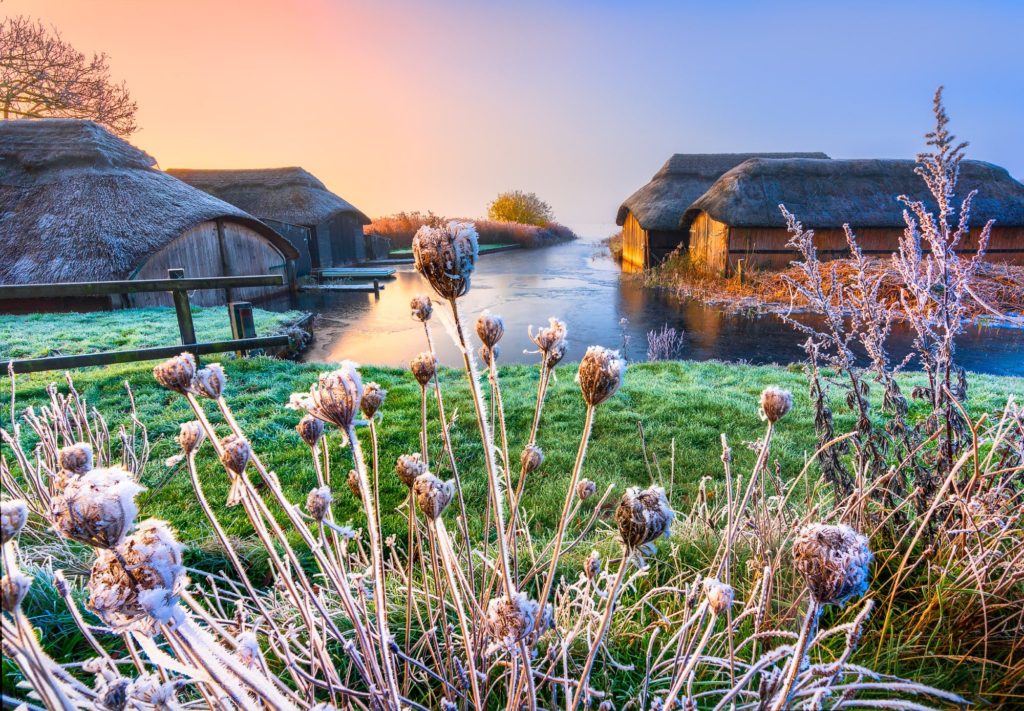 Frost-covered plants beside a tranquil river at sunrise, Norfolk, England