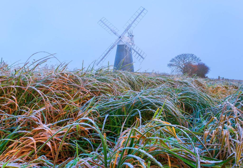 Frost-covered grass with a windmill in Norfolk, England