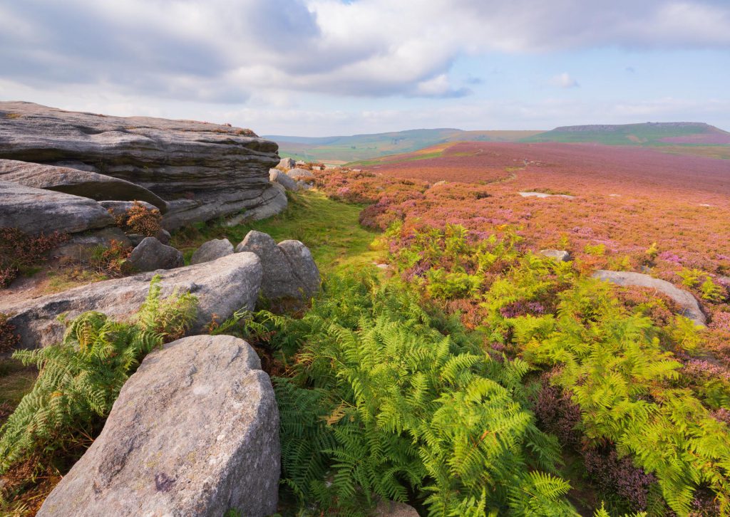 Peak District Mother Cap sunset light
