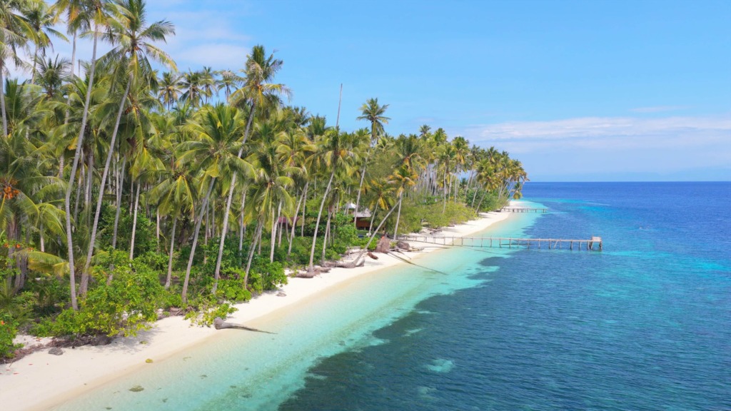 Quiet palm-fringed Mandel Beach on Peleng Island