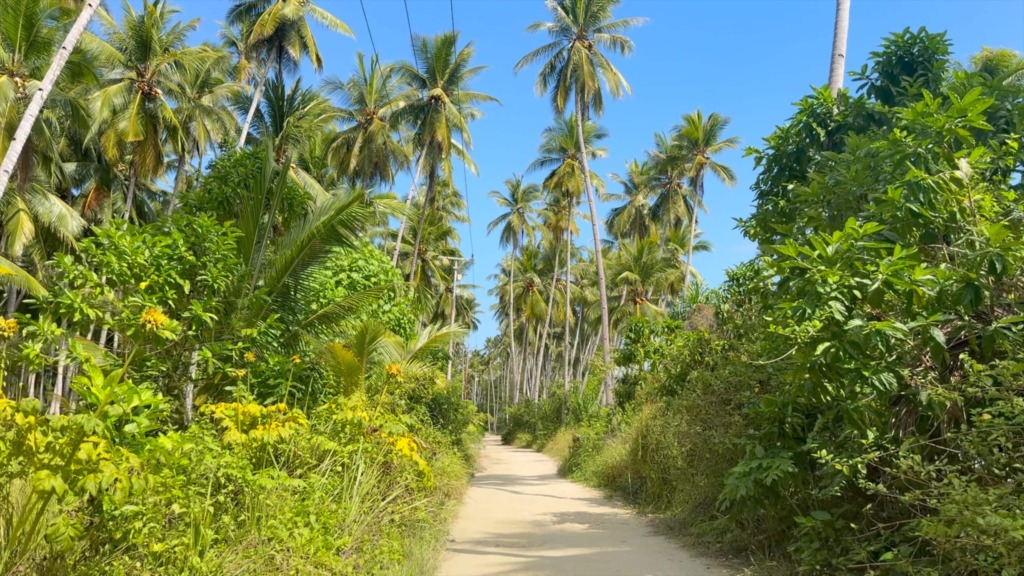 Rough coastal road explored by scooter on Peleng Island