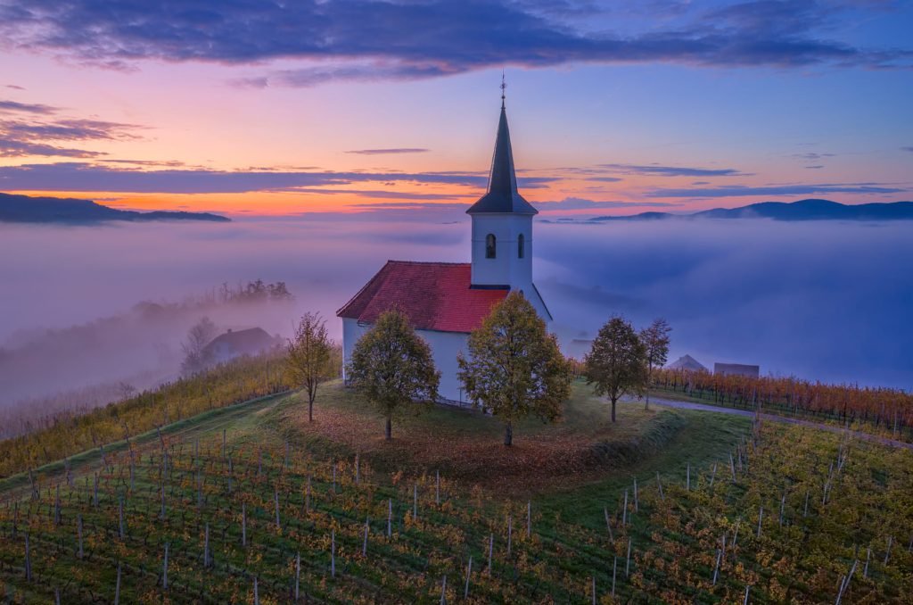 Church surrounded by vineyards at sunrise in Slovenia