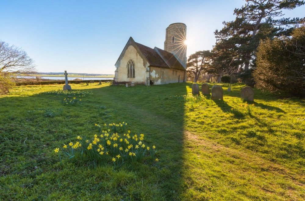 Spring evening at Ramsholt Church, Suffolk, with daffodils in foreground