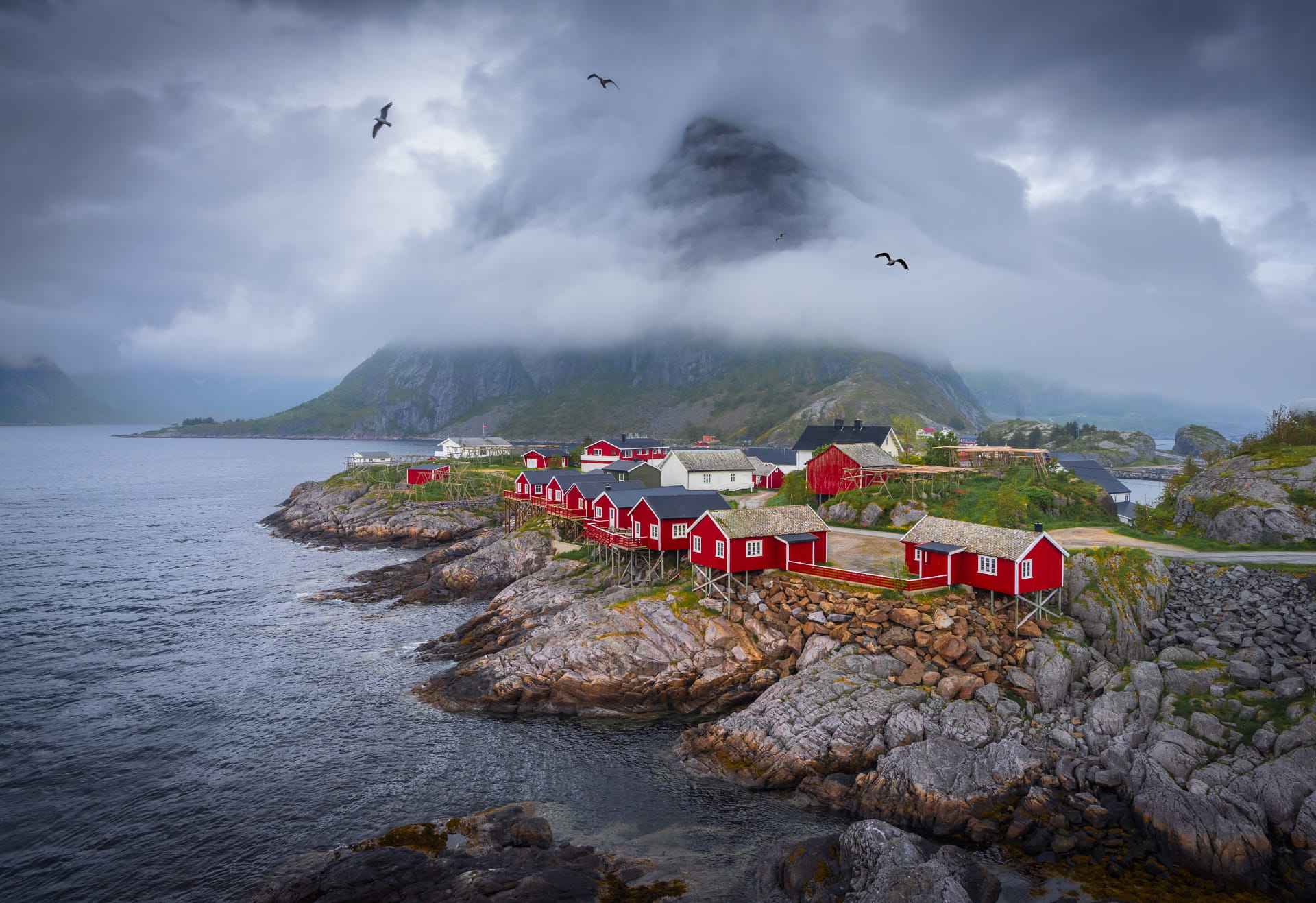 Red fishing cabins along the rocky shore in Reine, Lofoten, Norway