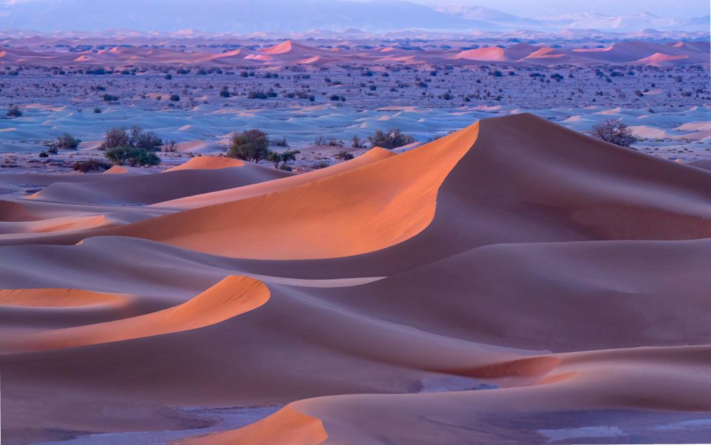 Dawn light illuminating sand dunes in the Sahara Desert, Morocco