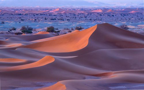 Moroccan Sahara Desert pre dawn glow