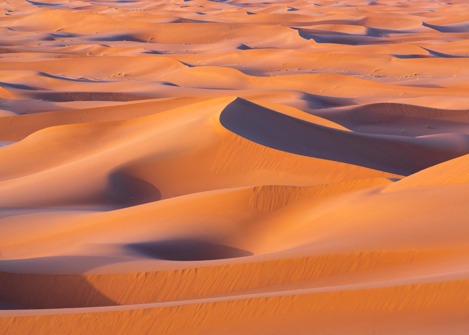 Morning light highlights undulating dunes in the Sahara Desert, Morocco