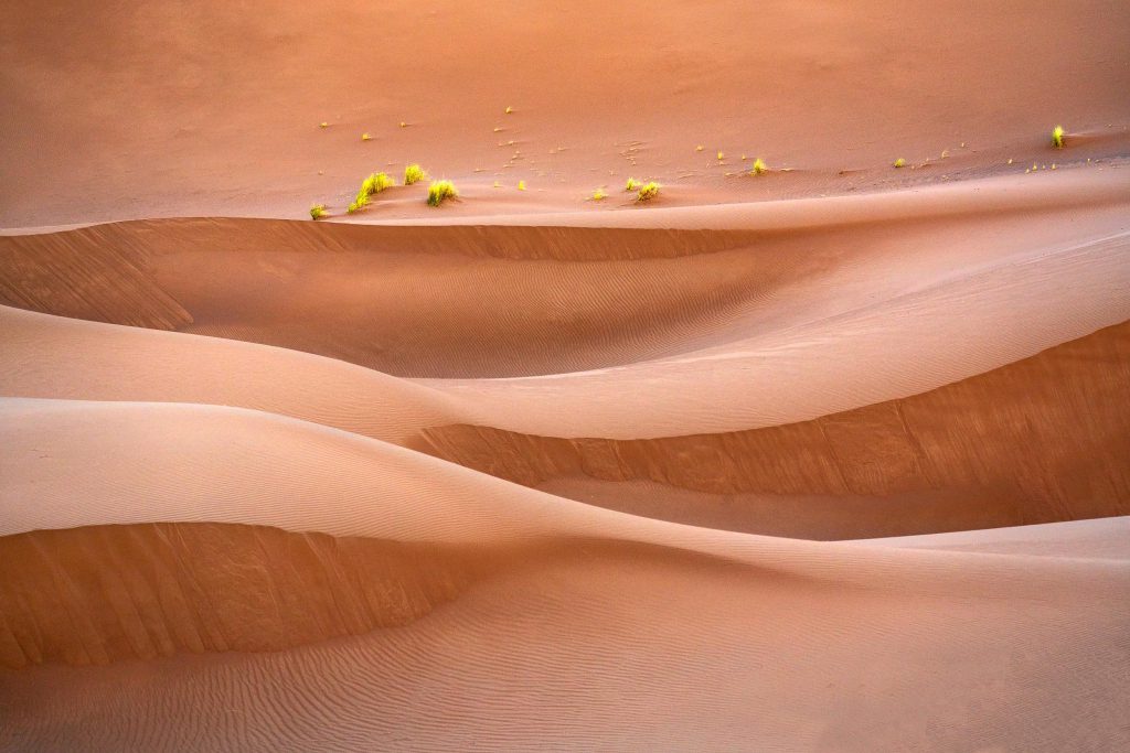 Waves of sand dunes in the Sahara Desert, Morocco