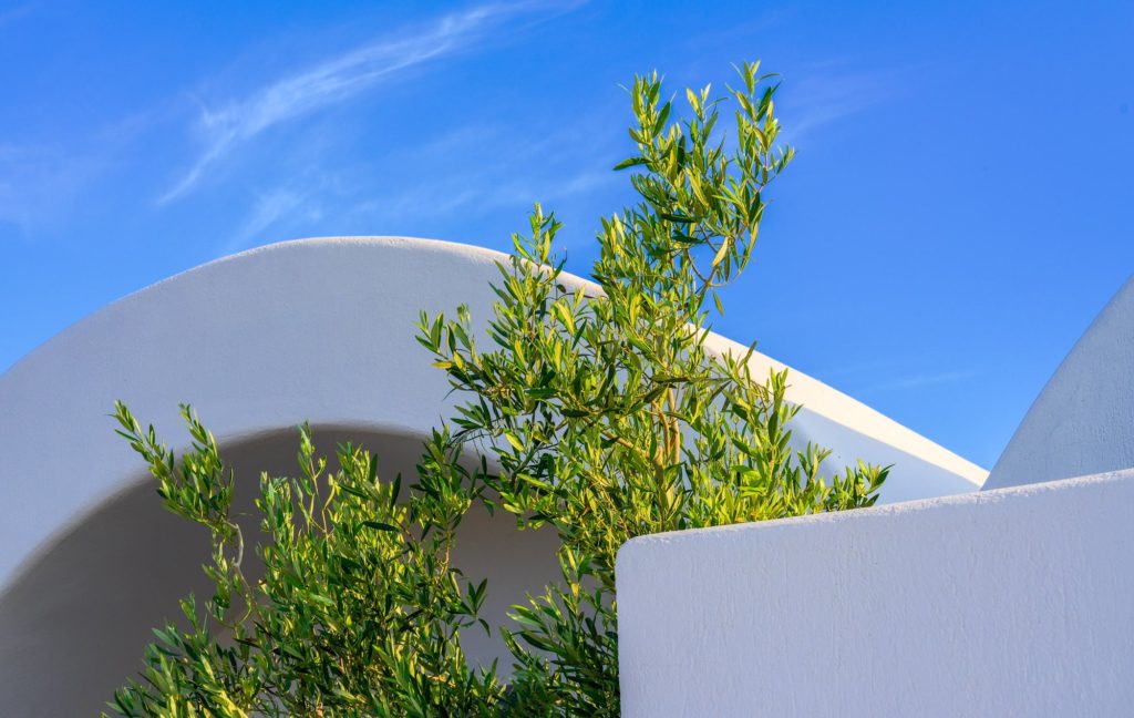 Abstract white architecture with green foliage, Santorini, Greece