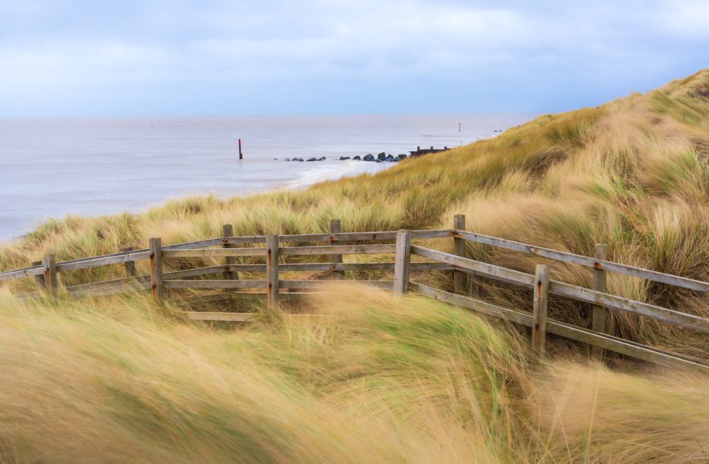 Windy dunes at Sea Palling beach, Norfolk, England