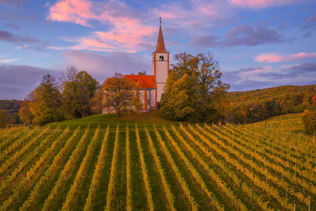 Sv. Marija Vnebovzeta church amidst vineyards in Slovenia at sunset