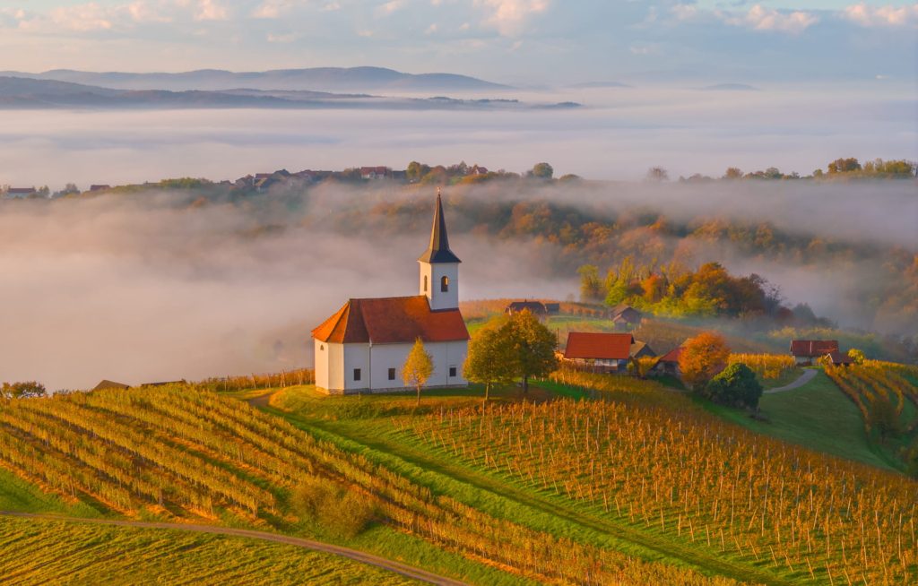 Mist-covered rolling hills with vineyards and a church in Slovenia