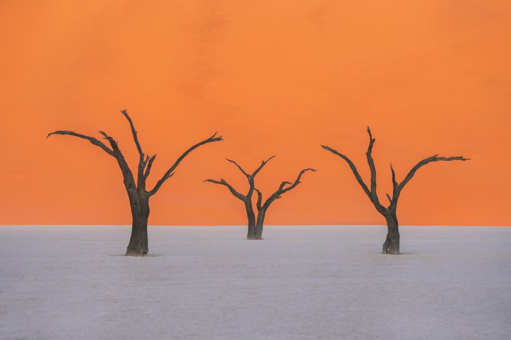 Silhouetted trees against an orange sunrise in Deadvlei, Namibia